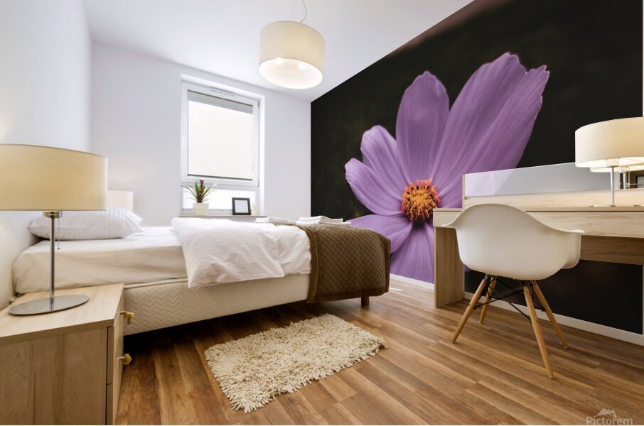 Captivate Mural print