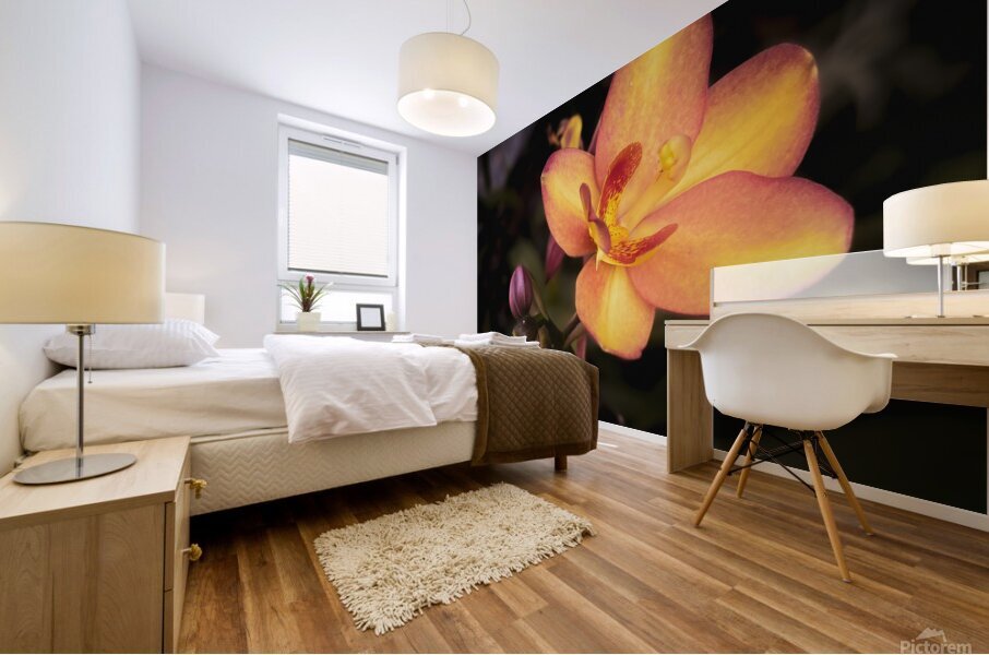 Adorn Mural print