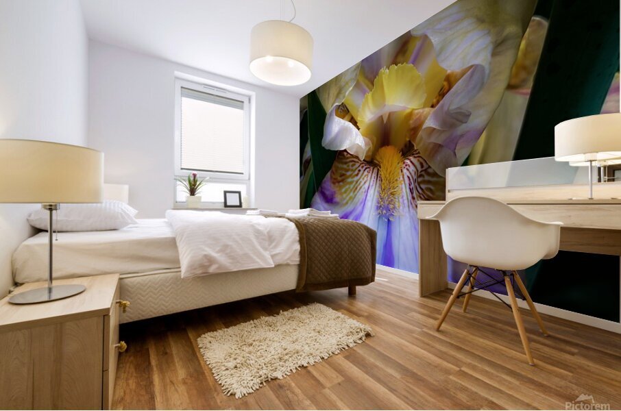 Indigo Heir Mural print
