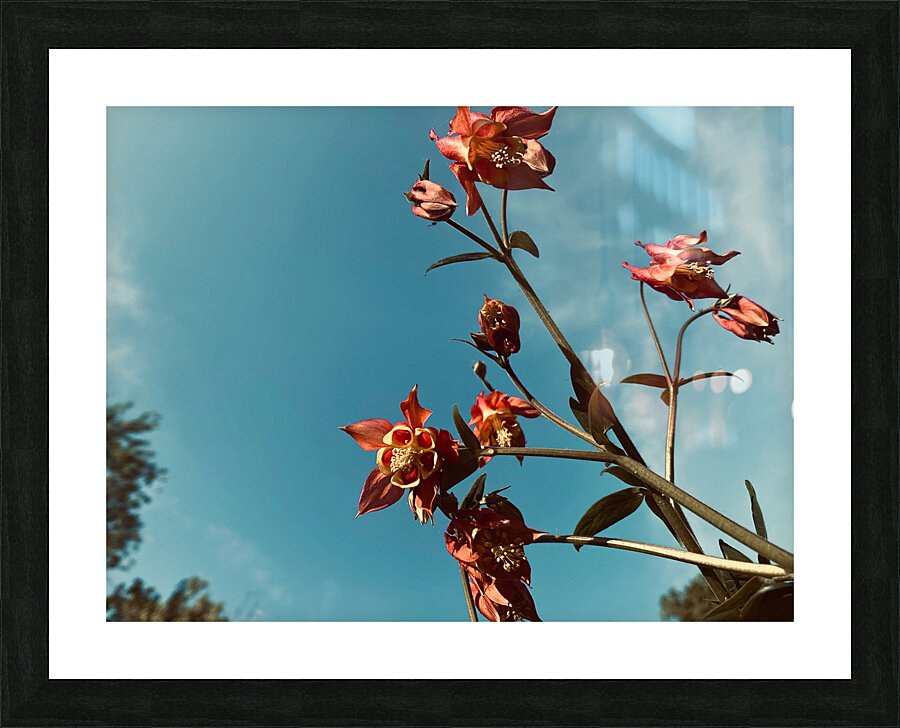 Country Road Picture Frame print
