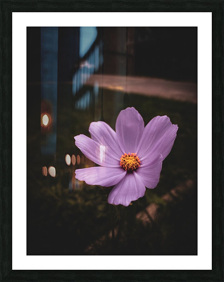 Captivate Picture Frame print