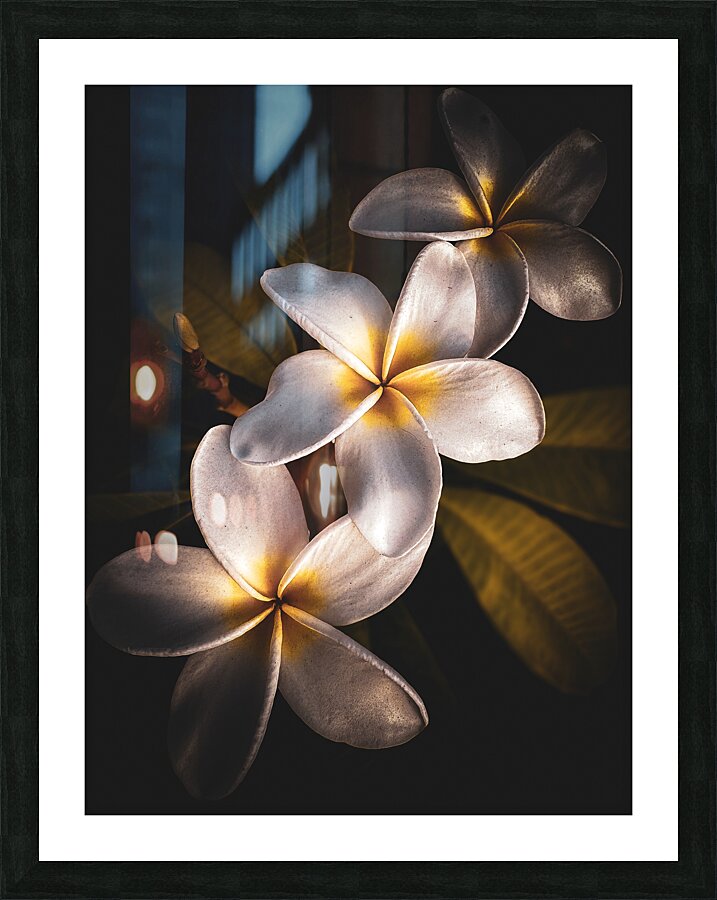 3 Kings Picture Frame print