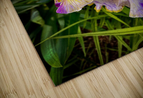 Queen Courageous Design by MaRiA puzzle