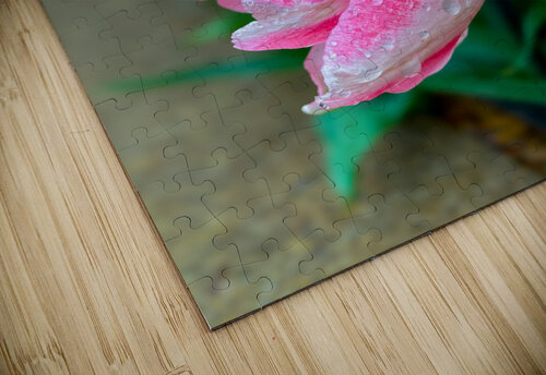 Freedom Courageous Design by MaRiA puzzle