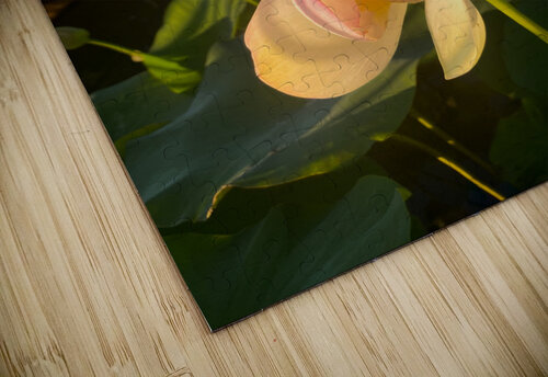 Hellotus Courageous Design by MaRiA puzzle