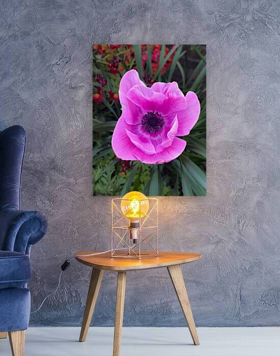 Sacred Poppy by Courageous Design by MaRiA