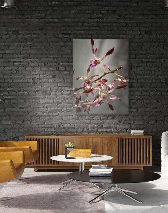 Antelope Storm by Courageous Design by MaRiA