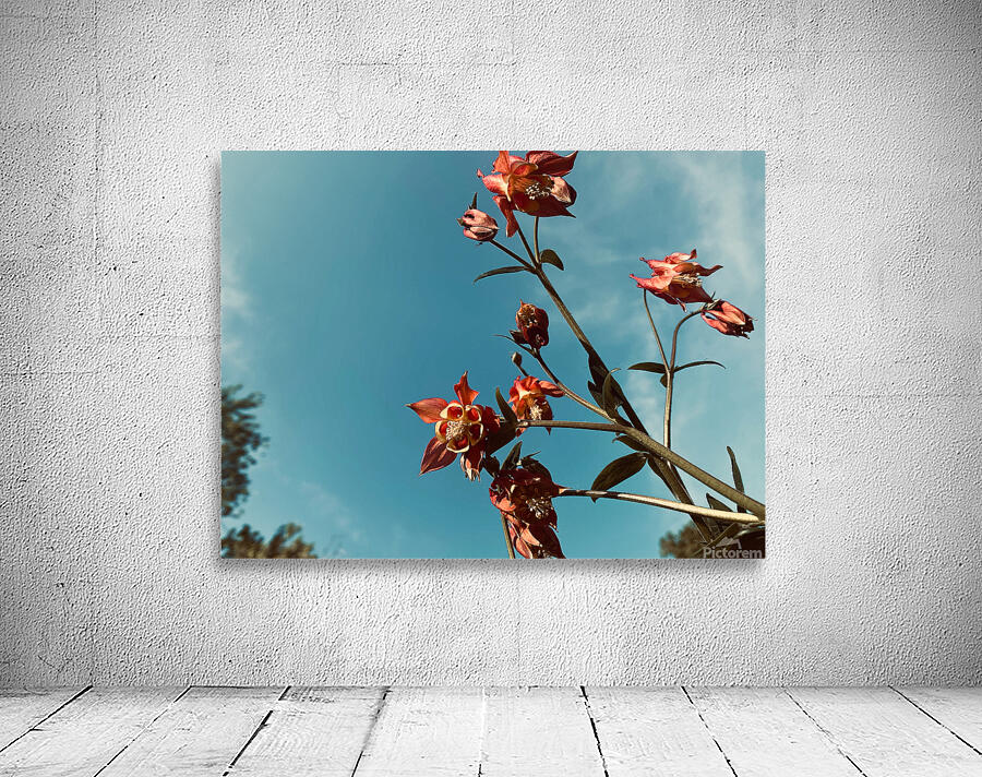 Country Road Wall Preview