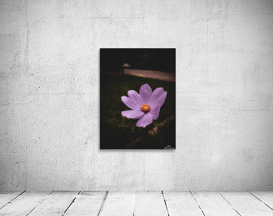 Captivate Wall Preview