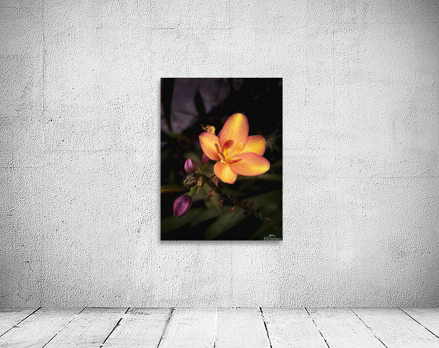Adorn Wall Preview