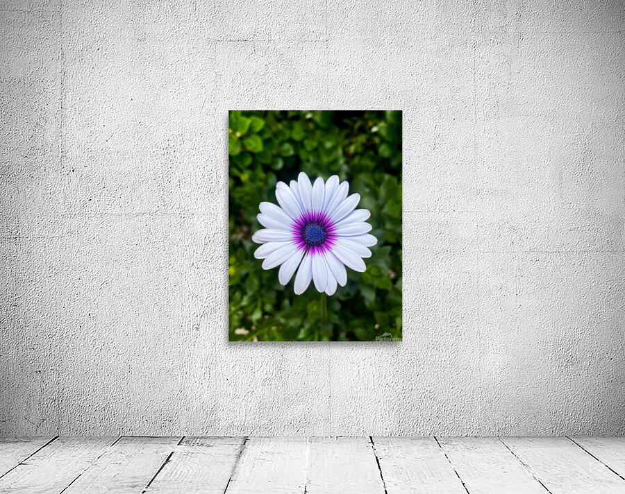 Perfect Wall Preview