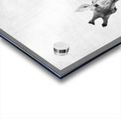 Peekaboo giraffe Acrylic print