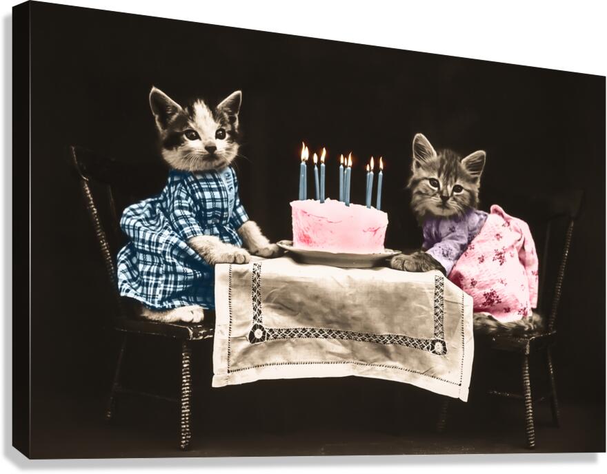 Vintage kittens birthday Canvas Print