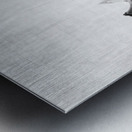 Peekaboo giraffe Metal print