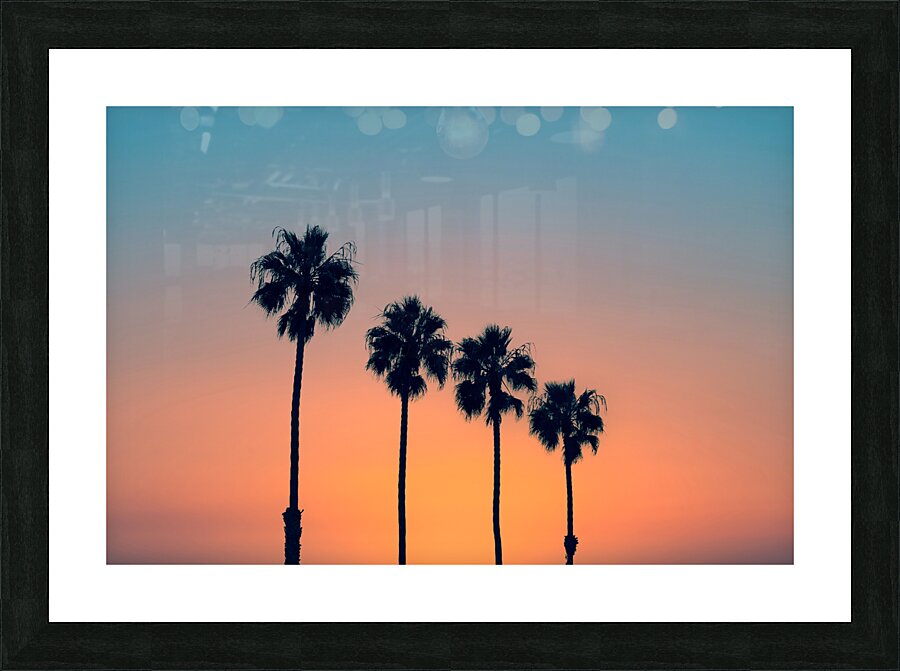 Palm trees at sunset Picture Frame print
