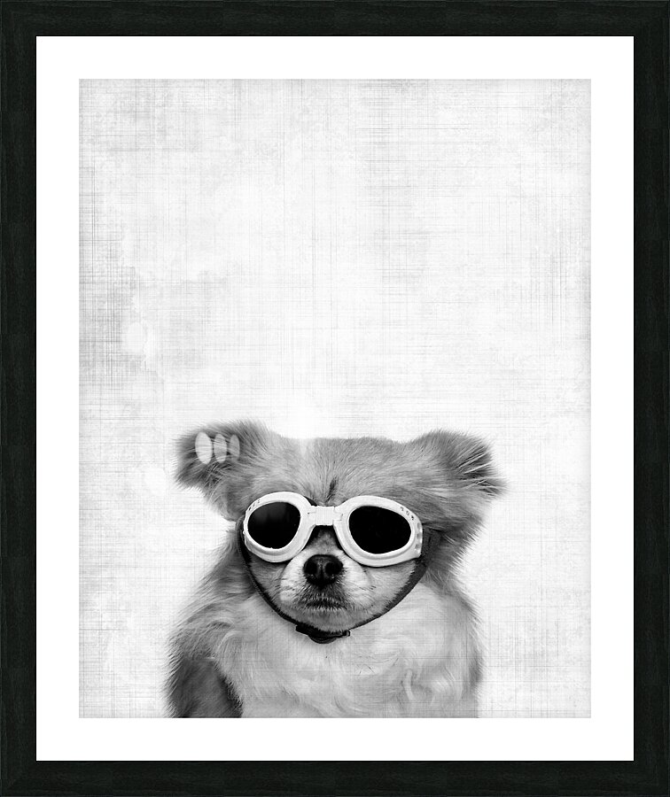 Funny dog with goggles  Picture Frame print
