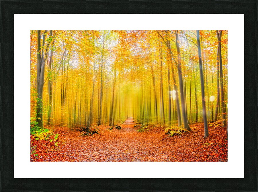 Magical forest path in fall Picture Frame print