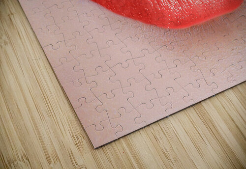 Kiss DELPHIMAGES puzzle