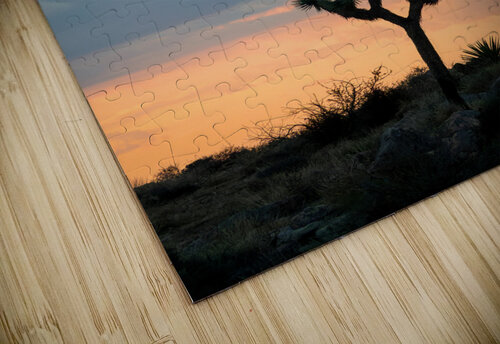 Joshua tree at sunset DELPHIMAGES puzzle