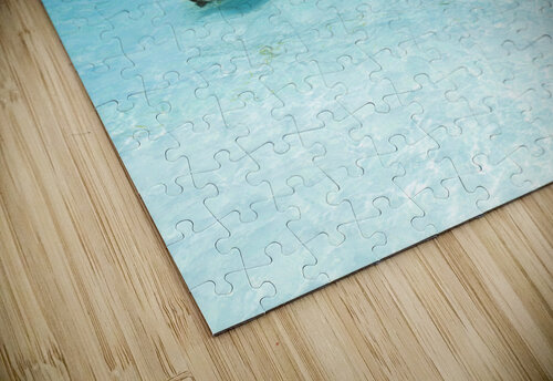 Blue boat DELPHIMAGES puzzle