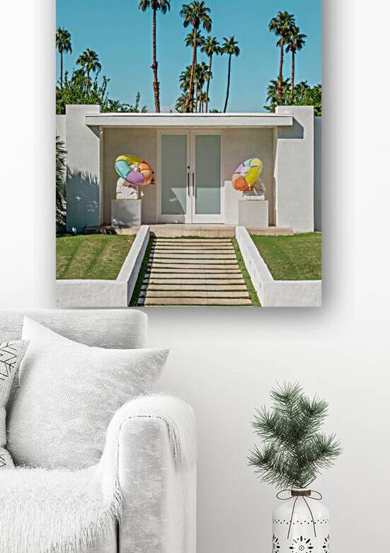 Door with lions Palm Springs architecture by DELPHIMAGES