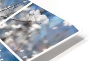 White Winter HD Metal print