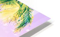Palm tree HD Metal print