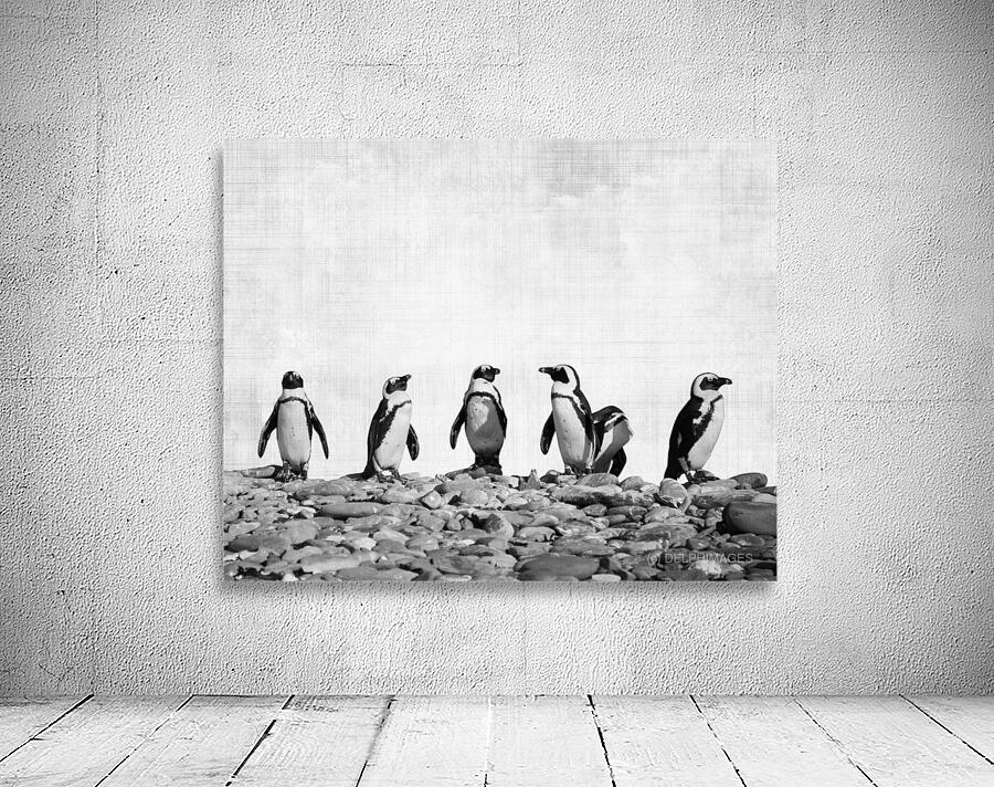 Penguins Wall Preview