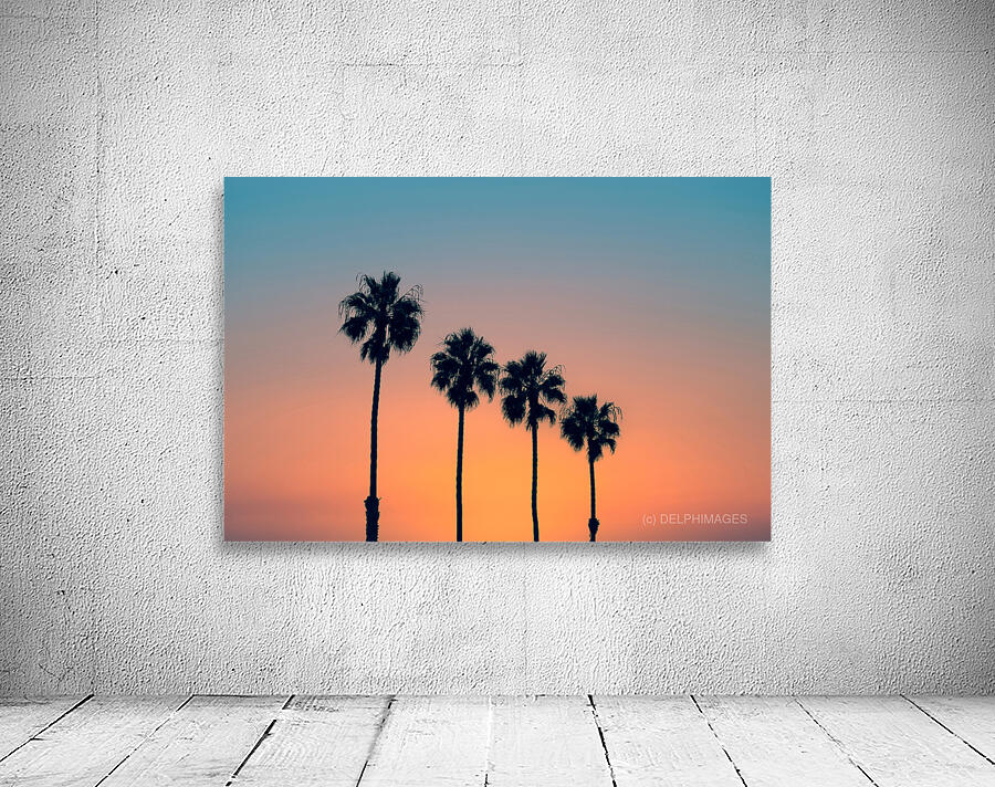 Palm trees at sunset Wall Preview
