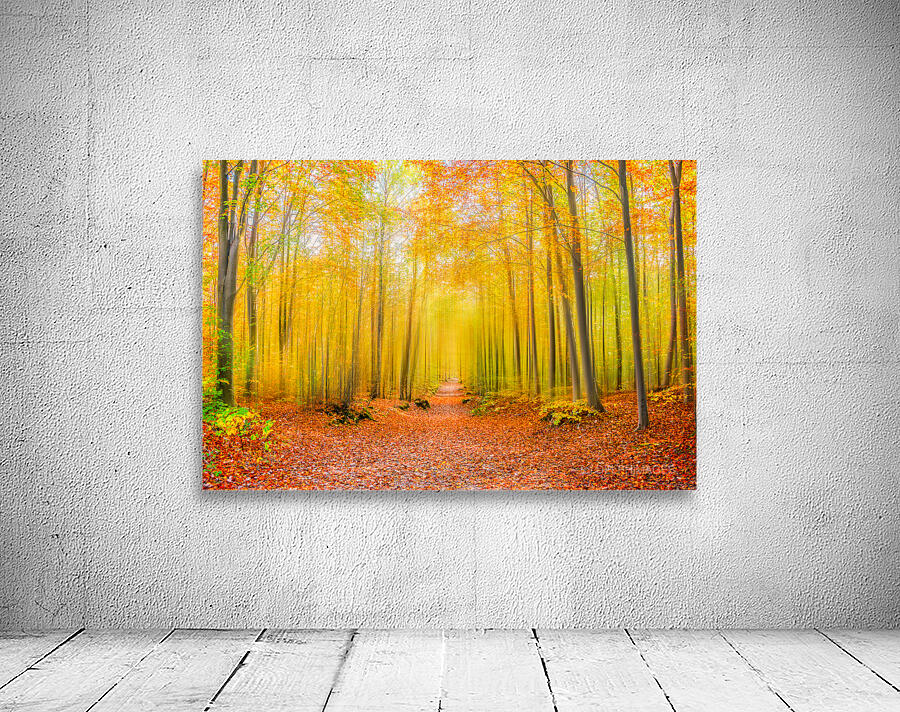 Magical forest path in fall Wall Preview