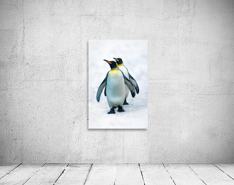 Double penguin Wall Preview