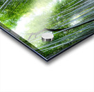 Bamboo Forest Acrylic print