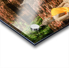 Cleaning Time Acrylic print