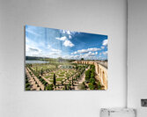 Royal Garden Acrylic Print
