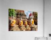 Cleaning Time Acrylic Print