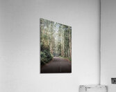Mysterious Road Acrylic Print