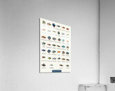 40 Aquarium Fish Acrylic Print