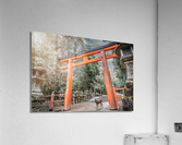 A Deer passing the gate Acrylic Print