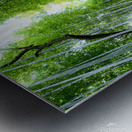 Bamboo Forest Metal print