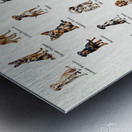 50 Dog Breeds Metal print