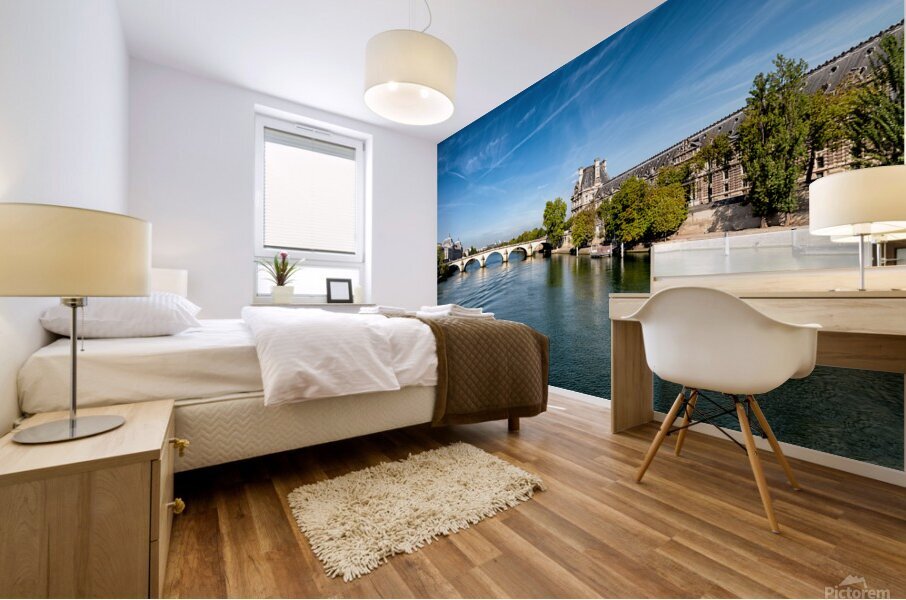 Seine River Mural print