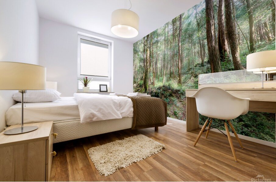 Mysterious Forest Mural print