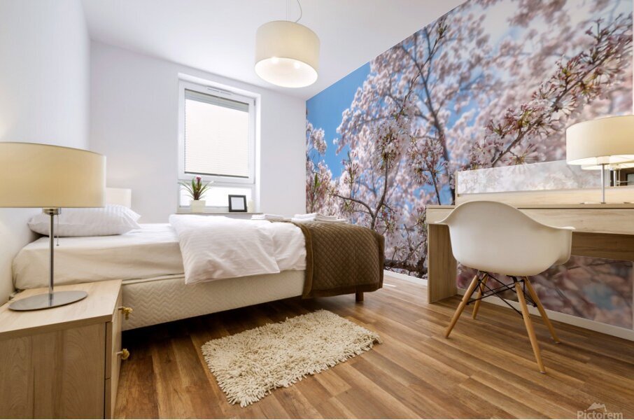 Cherry Flowers Mural print