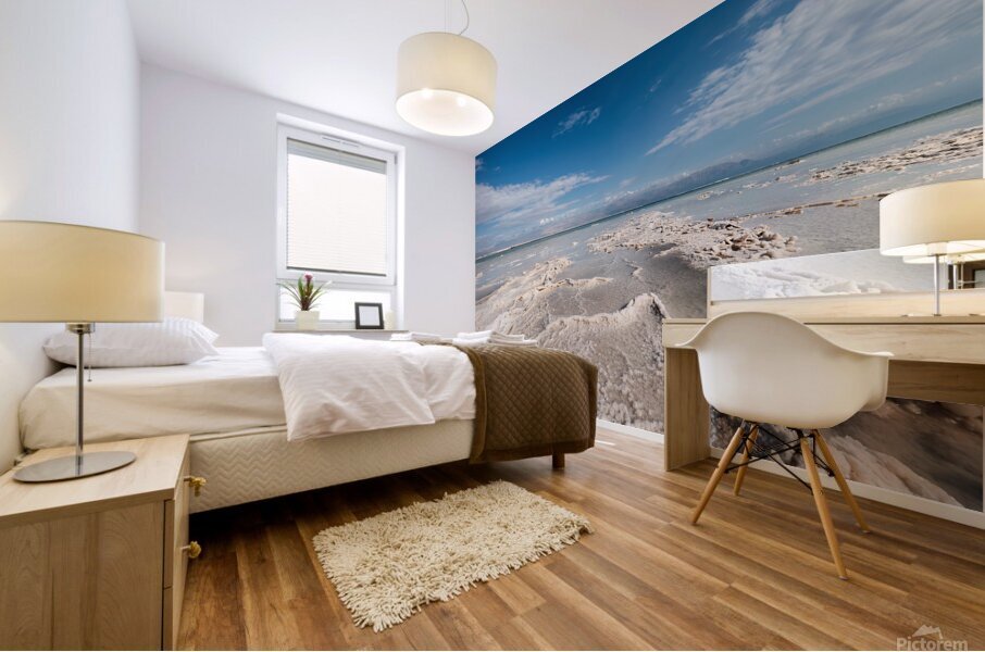 Salty Lake Mural print