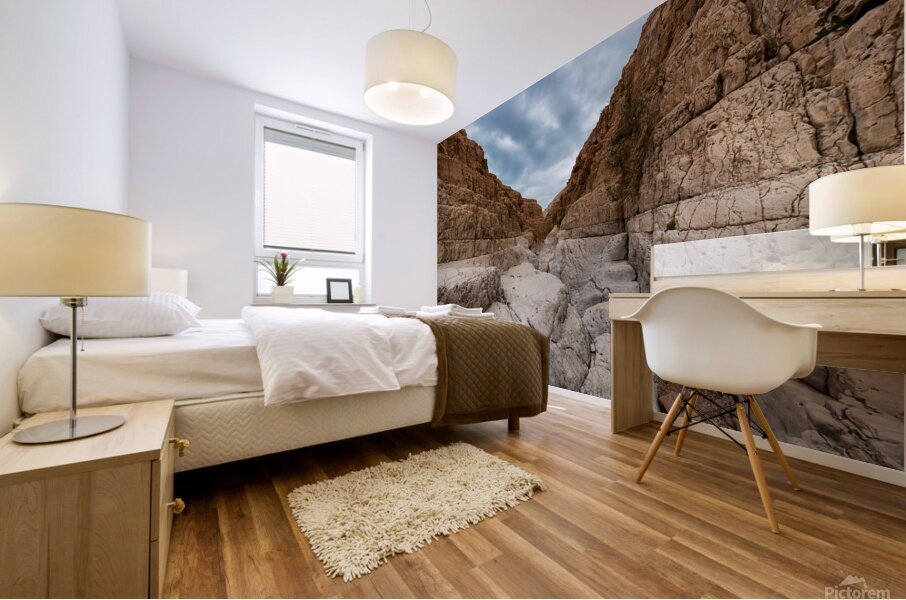 Two Tone Rock Mural print