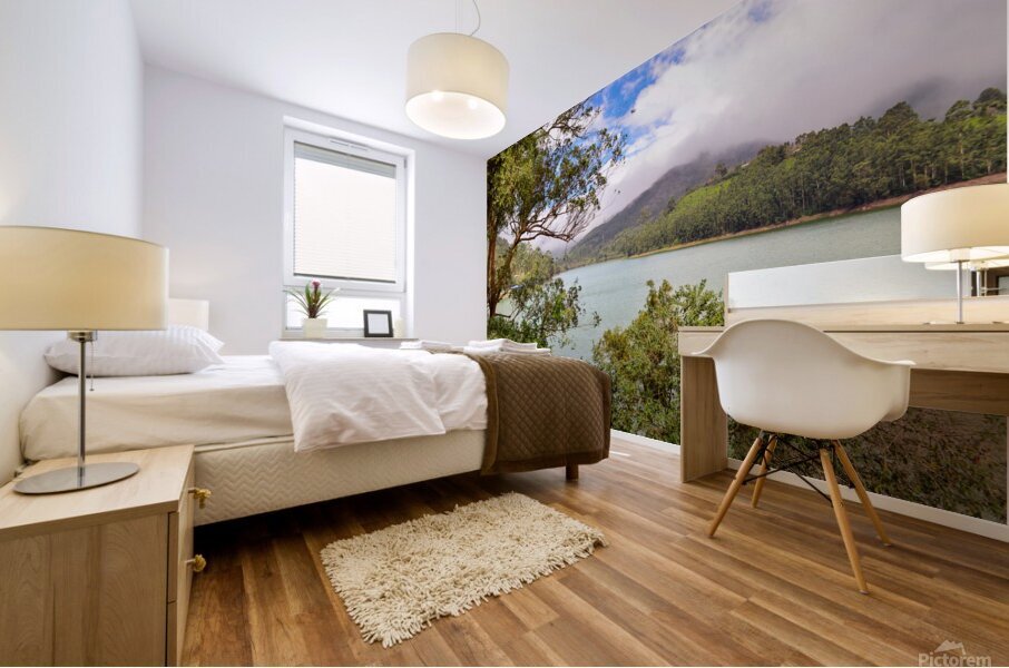 A Lake in Munnar Mural print