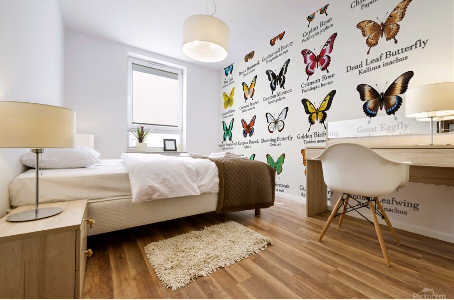 40 Beautiful Butterflies Mural print