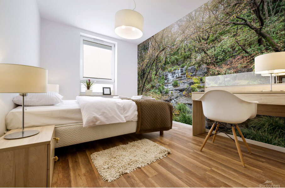 A small waterfall Mural print