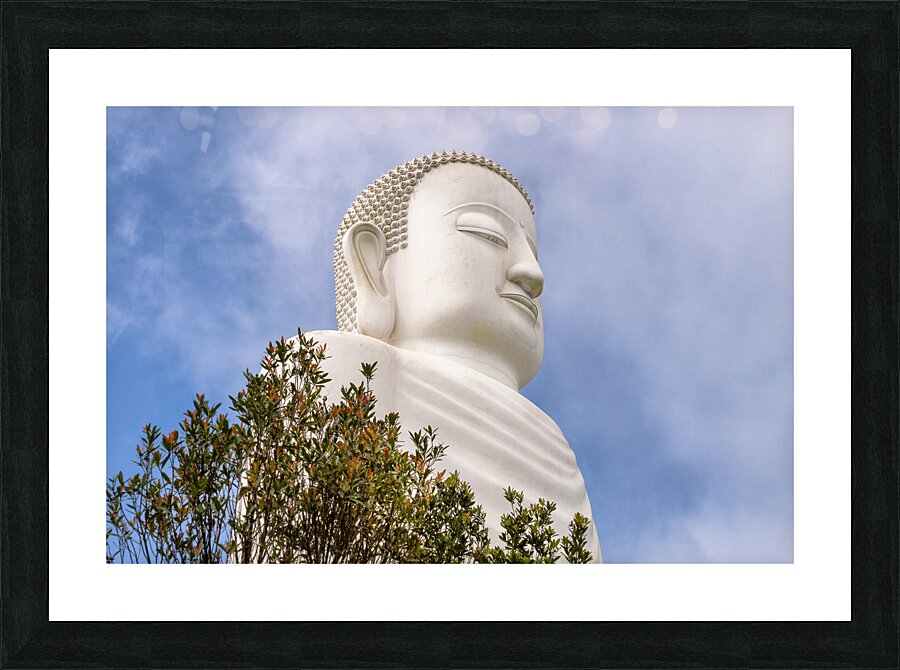 White Buddha Picture Frame print