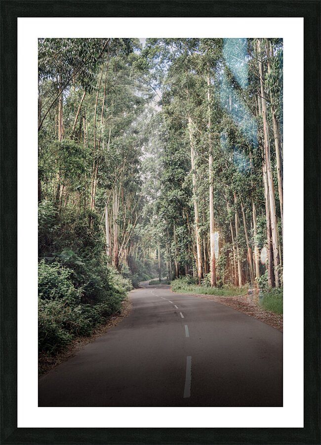 Mysterious Road Picture Frame print